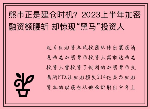 熊市正是建仓时机？2023上半年加密融资额腰斩 却惊现“黑马”投资人 